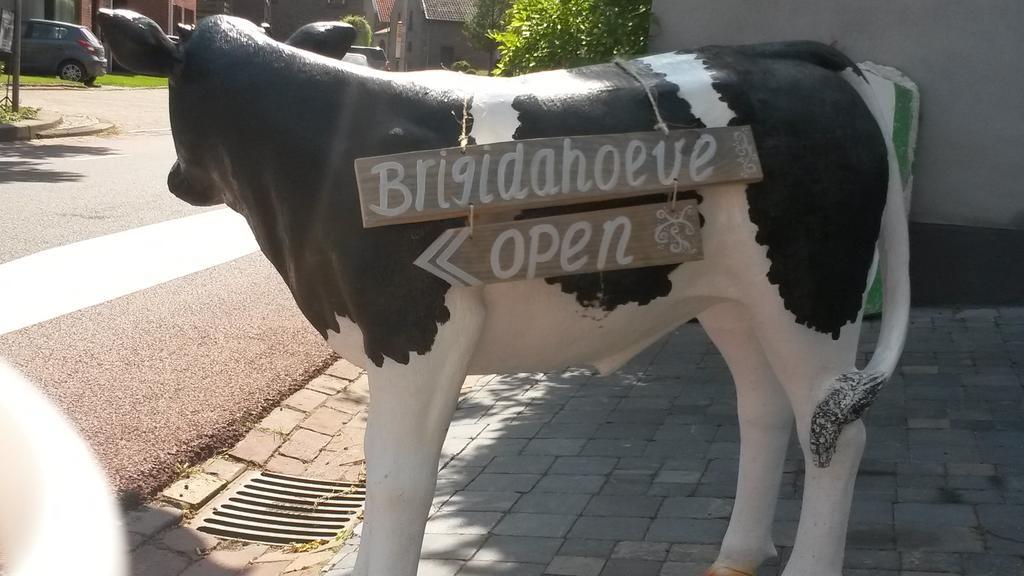 Brigidahoeve มาสทริชท์ ภายนอก รูปภาพ